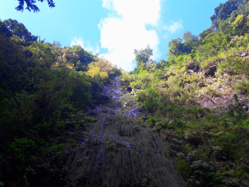 From Funchal: São Jorge Valleys Levada Walk - Group size, guide style, and walking pace