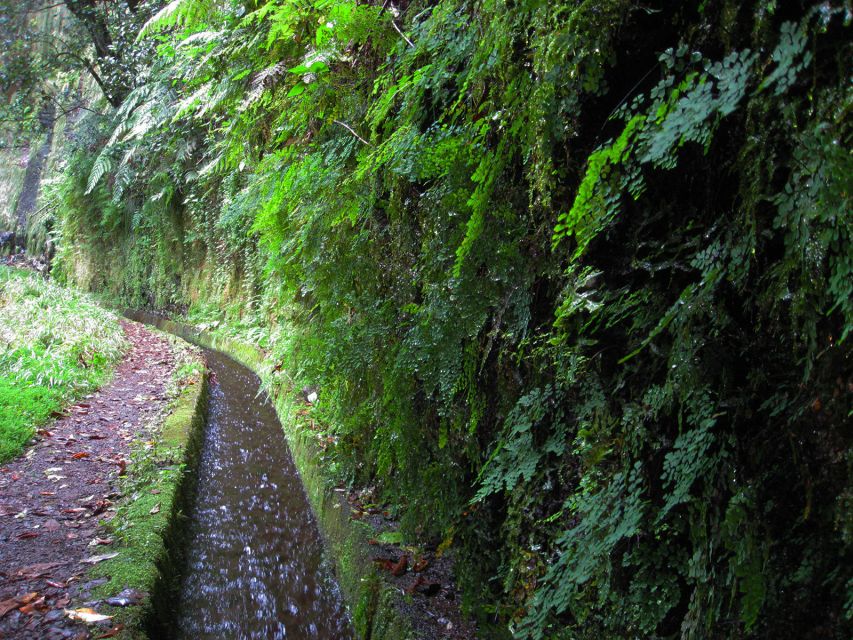 From Funchal: São Jorge Valleys Levada Walk - Transport from Funchal and the resort areas