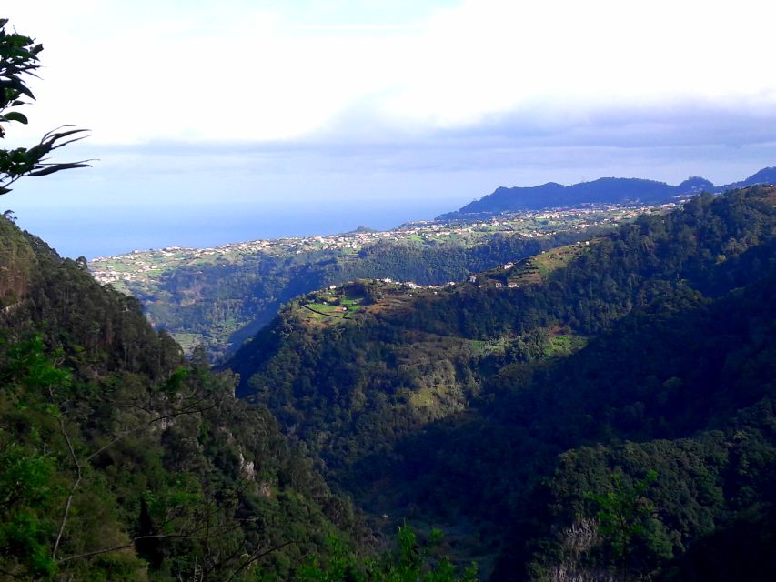 From Funchal: São Jorge Valleys Levada Walk - Is $50 good value for an eight-hour outing?