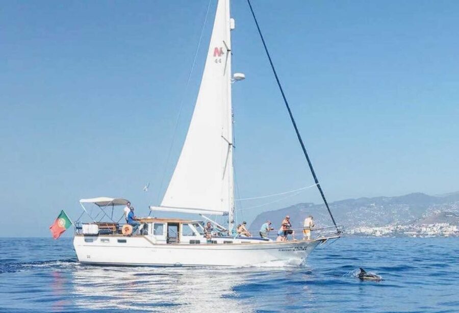 From Funchal: West Bays Sailing Tour with Lunch - Setting out from Praça do Povo in Funchal