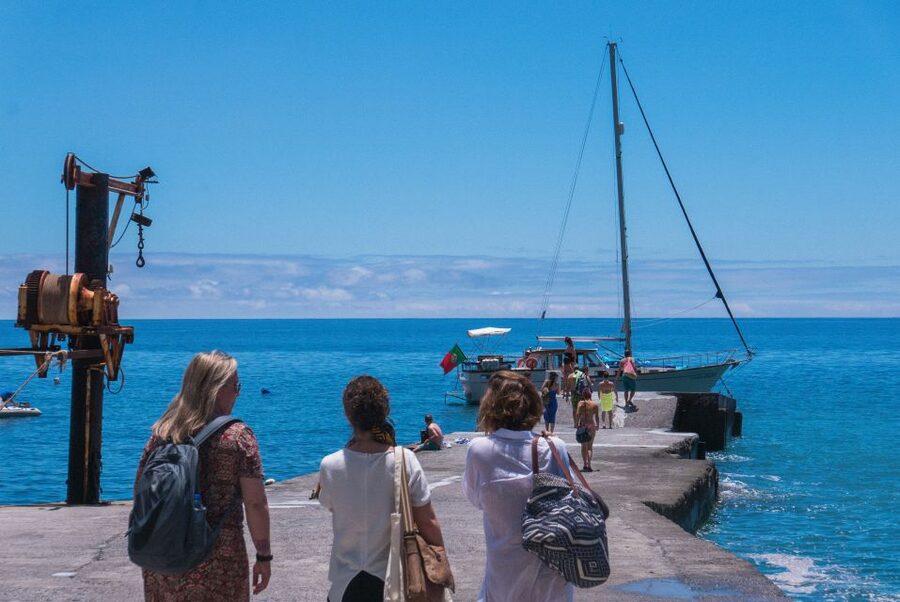 From Funchal: West Bays Sailing Tour with Lunch - Searching for dolphins, whales, and turtles offshore