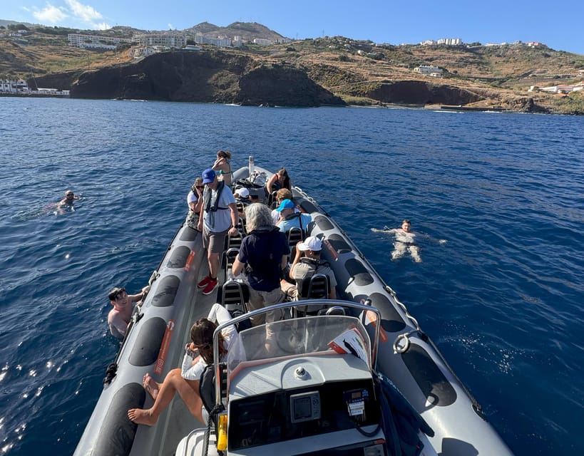 From Funchal: Whale and Dolphin Watching - Is $56 good value for 2.5 hours?