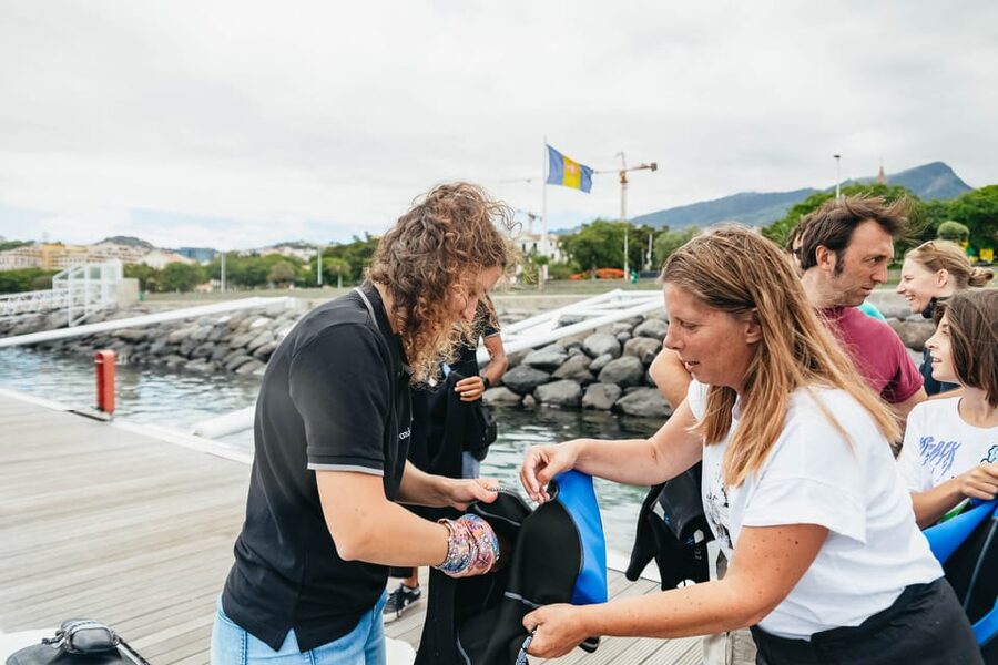 From Funchal: Whales and Dolphin Adventure Tour - Who should book this Madeira whale tour?