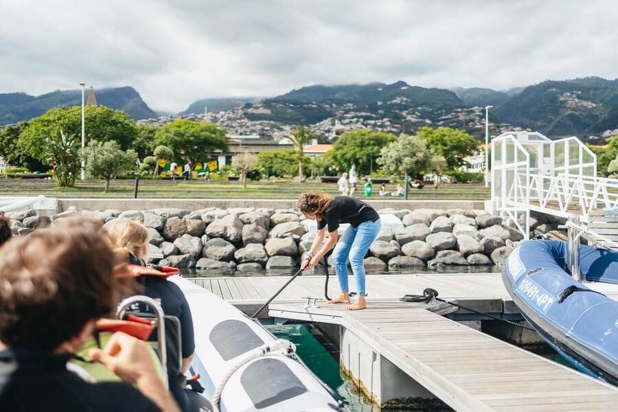 From Funchal: Whales and Dolphin Adventure Tour - What the speedboat feels like on the water