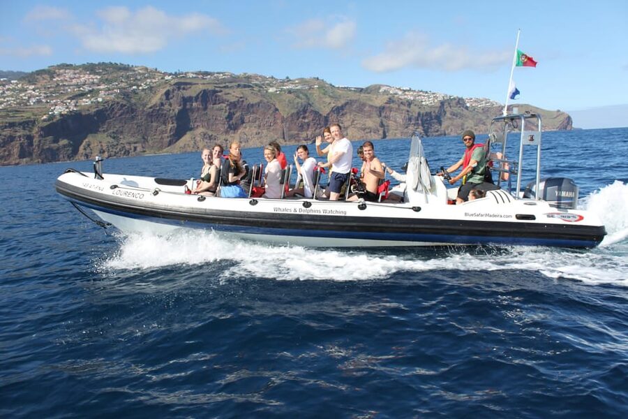 From Funchal: Whales and Dolphin Adventure Tour - How the two-hour itinerary works