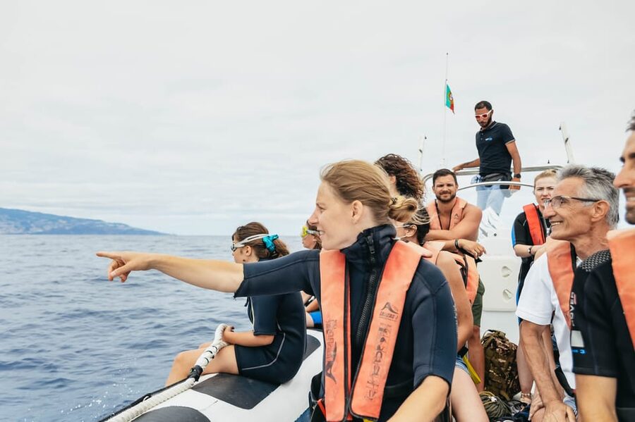 From Funchal: Whales and Dolphin Adventure Tour - Weather, cancellations, and smart planning
