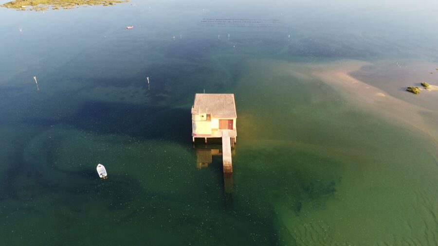 From Fuzeta: 2-Hour Southeast Ria Formosa Boat Trip - Practical details for a smoother outing