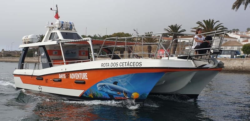 From Lagos: Benagil Caves Catamaran Cruise - The return journey and sea conditions