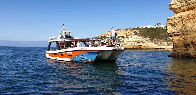 From Lagos: Dolphin Watching Catamaran Cruise - Key points to know before you book