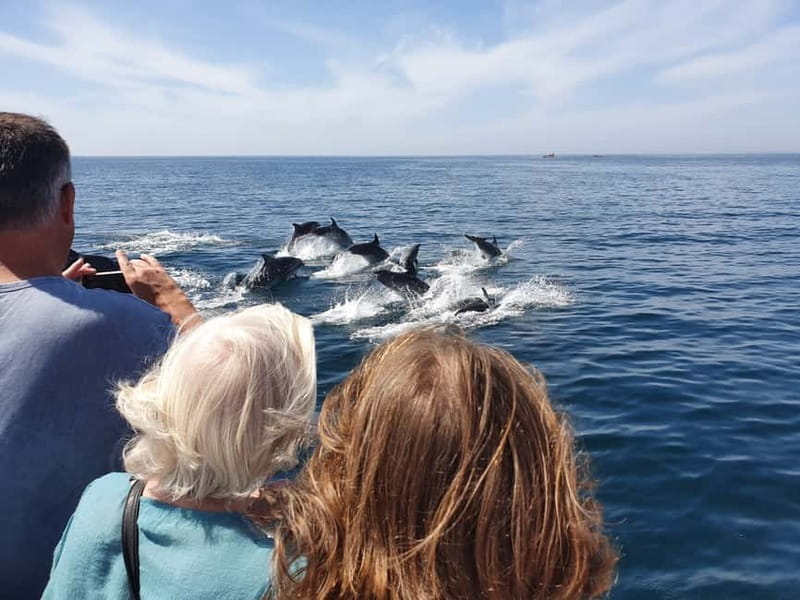 From Lagos: Dolphin Watching Catamaran Cruise - Algarve cliffs, grottos, and the Benagil route