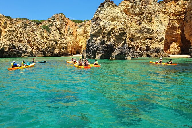 From Lagos: Kayak Tour of Ponta da Piedade Caves on Catamaran - Who will enjoy this most