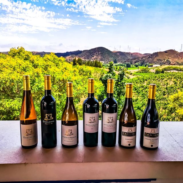 From Lagos: Small-Group 4-Hour Wine Tasting Tour - Key points to know before booking