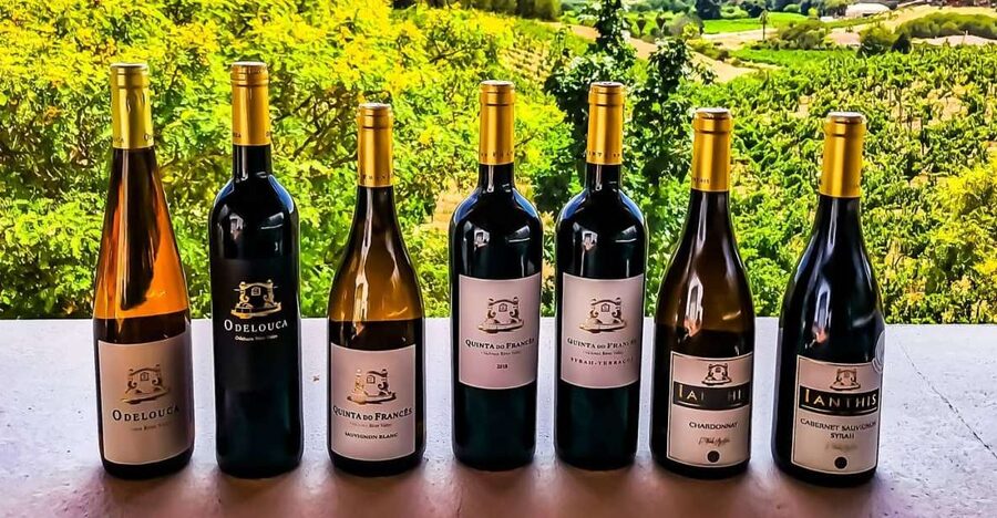 From Lagos: Small-Group 4-Hour Wine Tasting Tour - 45 minutes in Moorish Silves
