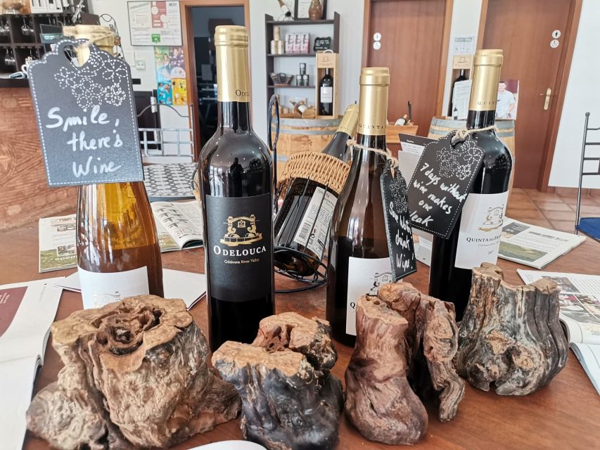 From Lagos: Small-Group 4-Hour Wine Tasting Tour - The winery and the story behind the bottles