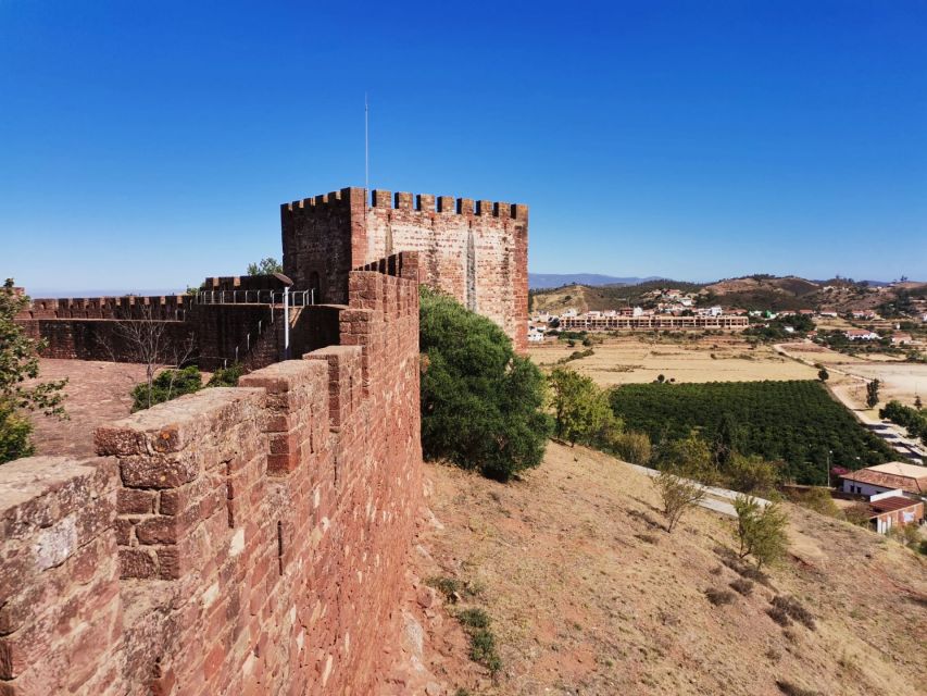 From Lagos: Small-Group 4-Hour Wine Tasting Tour - The guide can make or break the afternoon