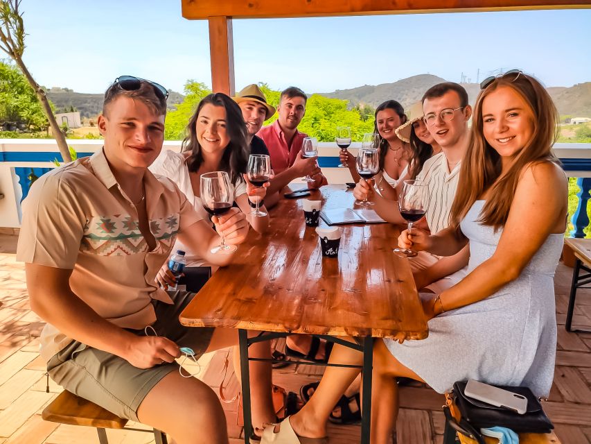 From Lagos: Small-Group 4-Hour Wine Tasting Tour - Who will enjoy this four-hour outing