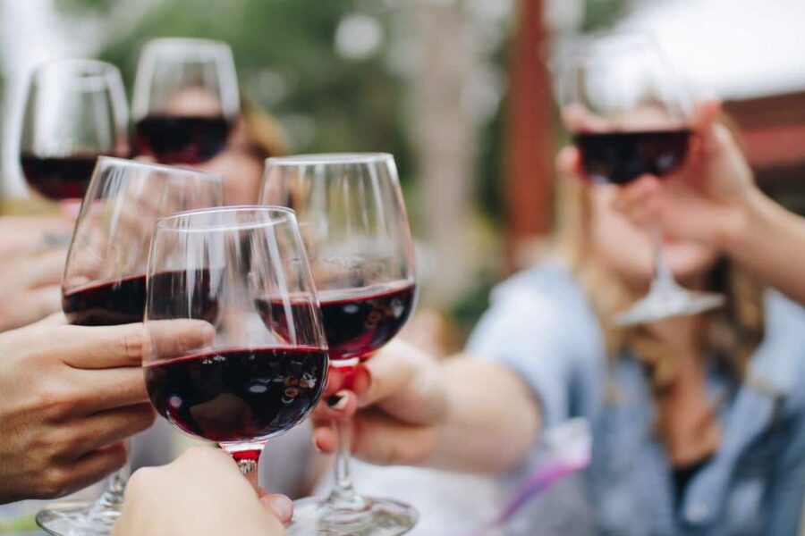 From Lagos: Small-Group 4-Hour Wine Tasting Tour - The 30-minute ride from Lagos to Silves