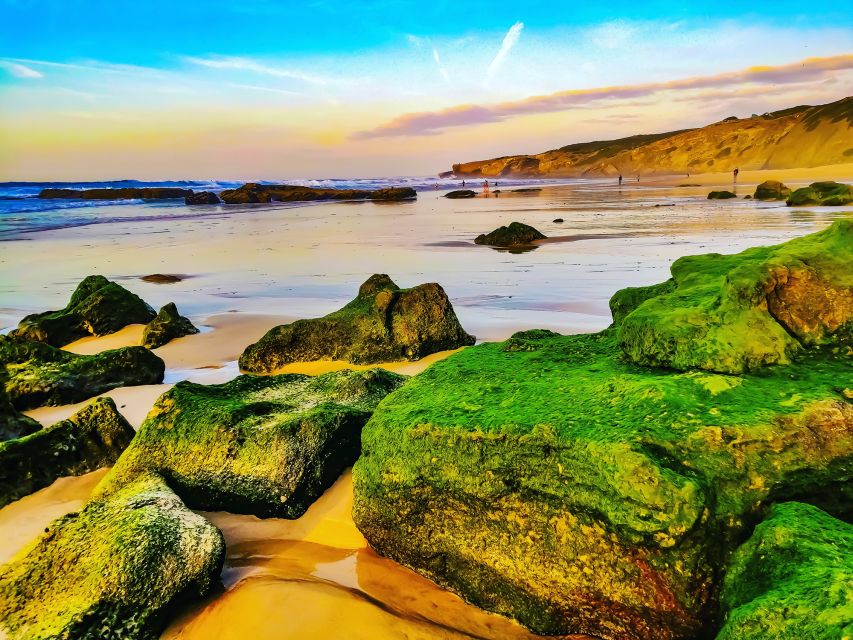 From Lagos: Wild and Wonderful West Coast Full-Day Tour - Booking details that affect your day