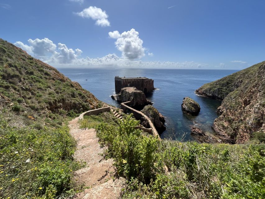 From Lisbon: Berlenga Grande Sightseeing Tour - The glass-bottom boat and Berlenga’s sea caves