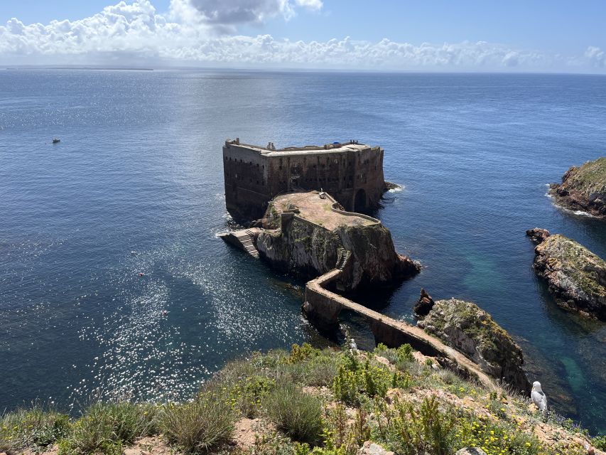 From Lisbon: Berlenga Grande Sightseeing Tour - Is $148 a fair price for this day trip?