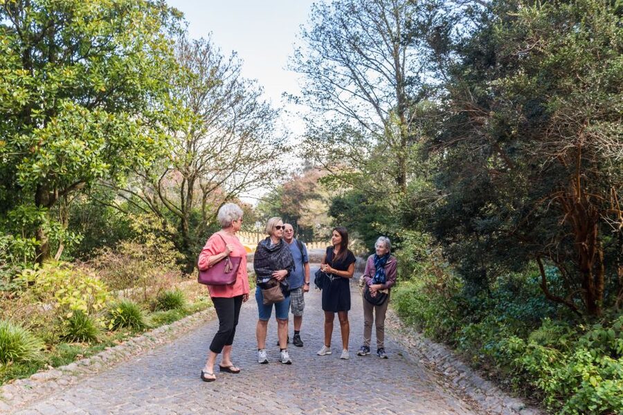 From Lisbon: Best of Sintra and Cascais Guided Day Tour - Reaching the hilltop Pena Palace