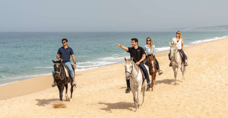 From Lisbon: Comporta and Setúbal Trip with Horseback Riding - Key points to know before booking