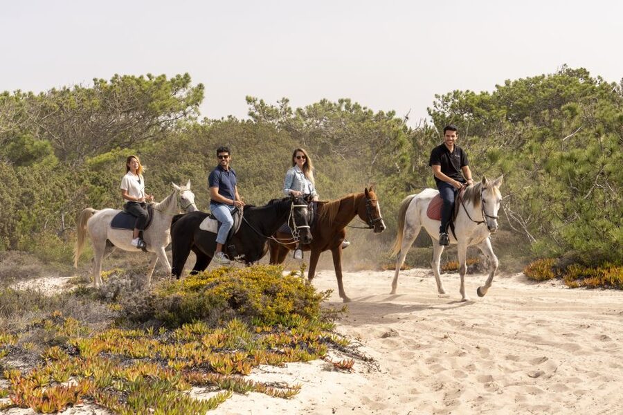 From Lisbon: Comporta and Setúbal Trip with Horseback Riding - FAQ