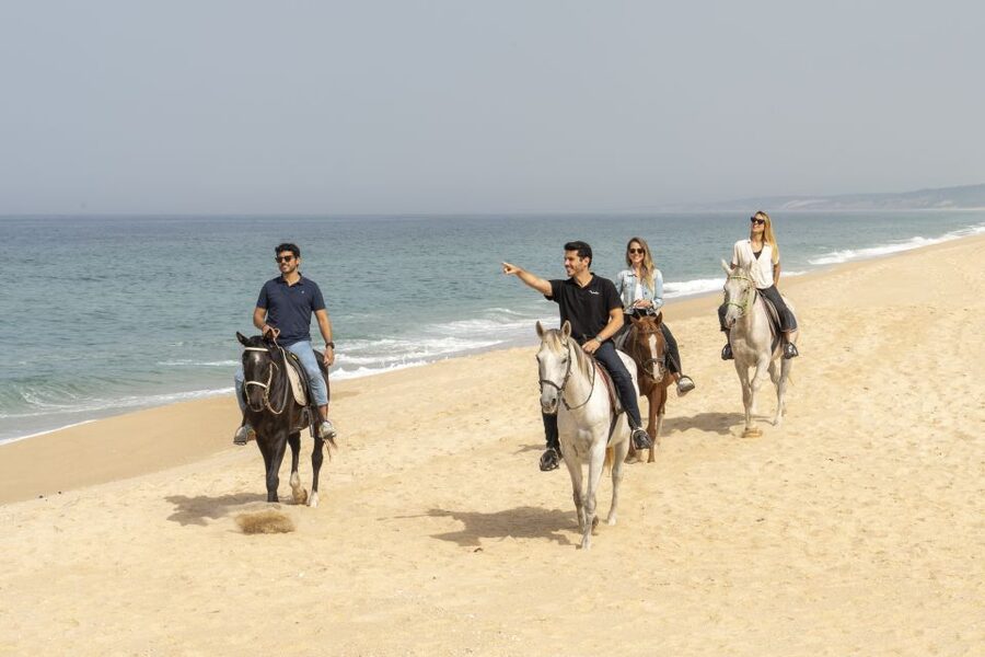 From Lisbon: Comporta and Setúbal Trip with Horseback Riding - Crossing the Sado Estuary to Troia