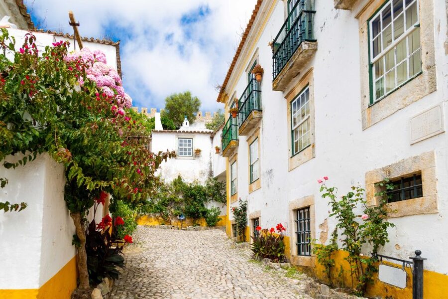 From Lisbon: Day Trip to Porto, Óbidos, and Nazaré - Is $97 a fair price?