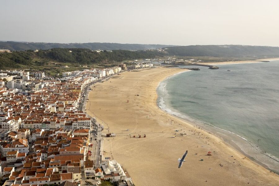 From Lisbon: Day Trip to Porto, Óbidos, and Nazaré - Practical ways to make the day better