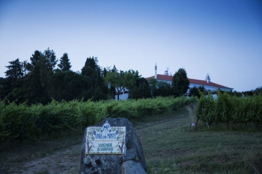 From Lisbon: Évora Wine & Heritage Tour - What the $100 Price Really Covers