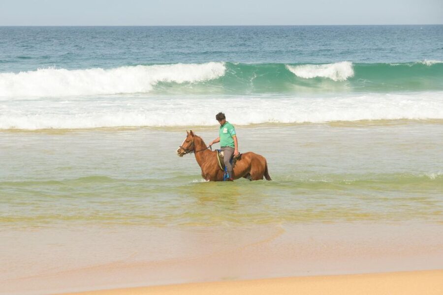From Lisbon: Horseback Riding on Comporta Beach - Key points to know before you book