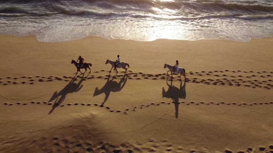 From Lisbon: Horseback Riding on Comporta Beach - From Atlantic forest to the dunes