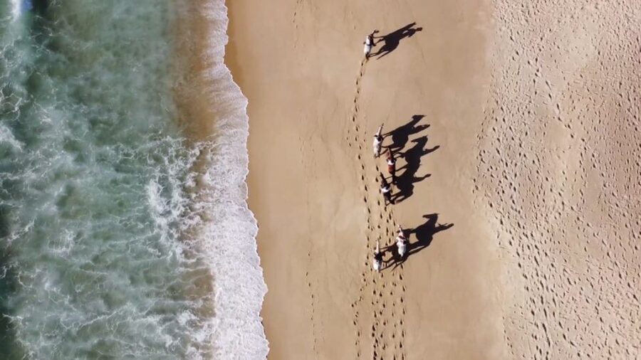From Lisbon: Horseback Riding on Comporta Beach - The two-hour beach ride