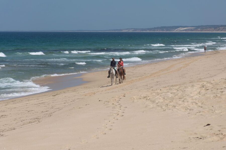 From Lisbon: Horseback Riding on Comporta Beach - Photos, video, and what costs extra