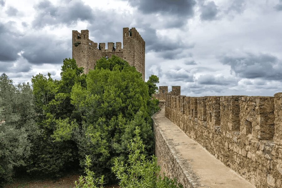 From Lisbon: Nazare Big Waves and Óbidos Guide Day Trip - Óbidos: medieval lanes and a chocolate-cup drink