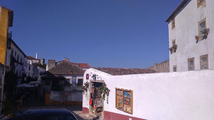 From Lisbon: Private Óbidos and Nazaré Tour - Óbidos, a medieval town built for wandering