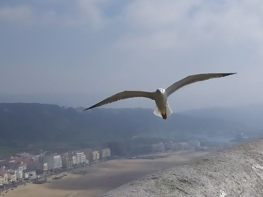 From Lisbon: Private Óbidos and Nazaré Tour - Giant waves: timing matters