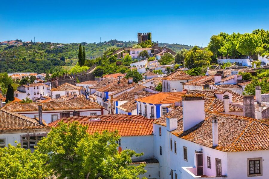 From Lisbon: Private Óbidos and Nazaré Tour - Who should choose this tour