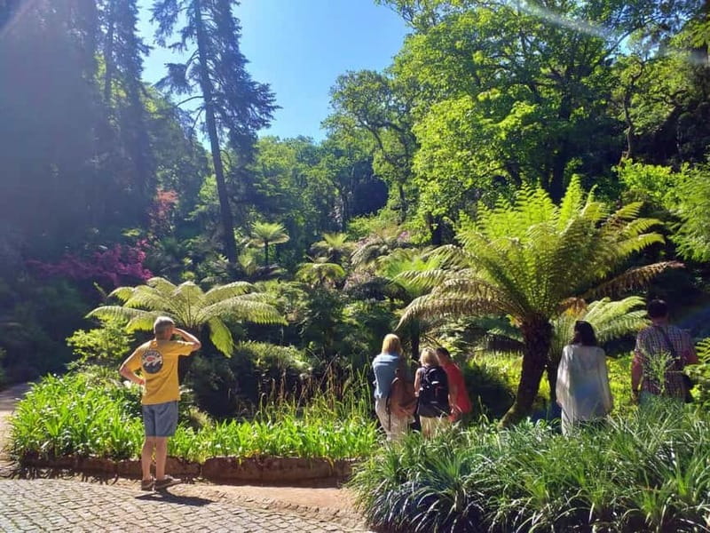 From Lisbon: Sintra's Historical and Natural Gems - Should you book this Sintra tour?