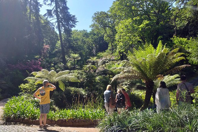 From Lisbon: Sintra's Historical and Natural Gems - Booking details worth knowing before you go