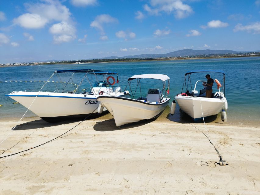 From Olhão: Ria Formosa 3-Island Full-Day Tour - What the guide adds to the ride