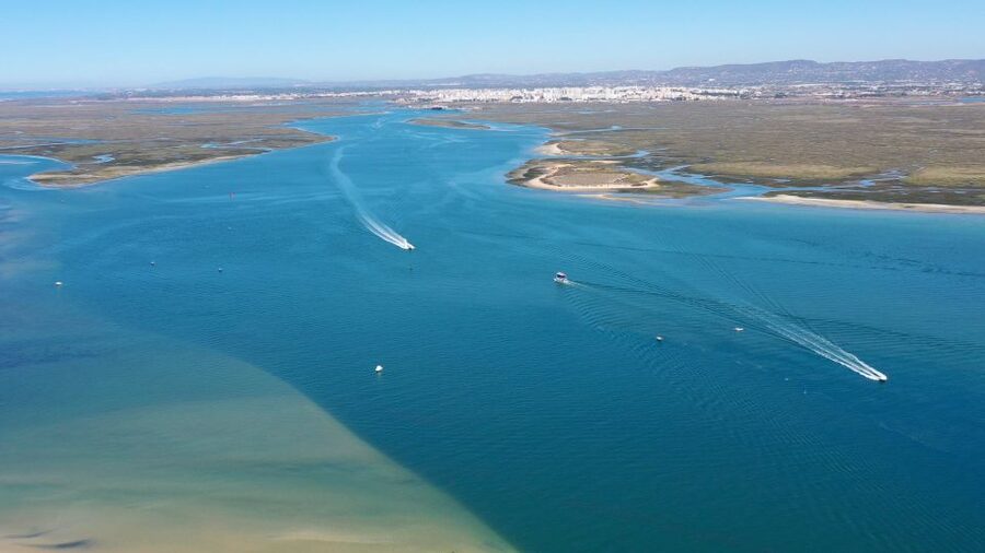 From Olhão: Ria Formosa 3-Island Full-Day Tour - Armona: a gentle first taste of island life