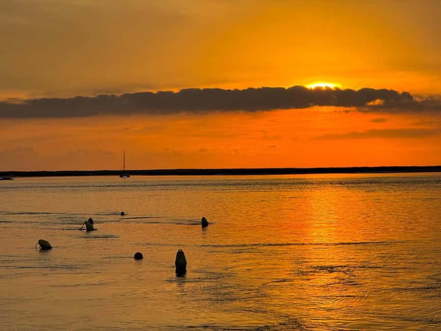 From Olhão: Ria Formosa Sunset Island Tour - Who will enjoy this sunset boat trip?