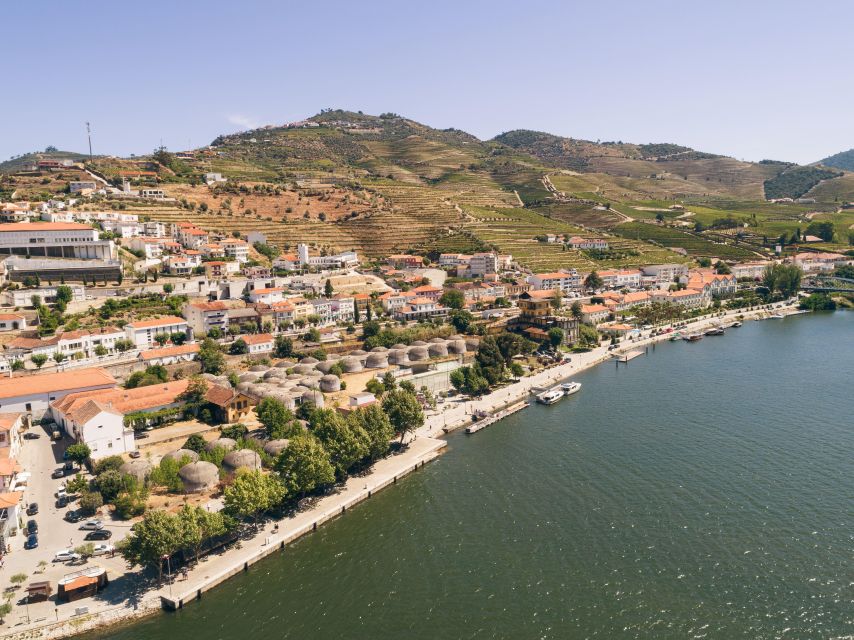 From Pinhão: Douro Valley Rabelo Boat Tour with Audio Guide - Comfort, access, weather, and pets