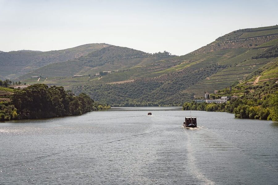 From Pinhão: Douro Valley Rabelo Boat Tour with Port Wine - The first estates: Bomfim, Ventozelo, and Carvalhas