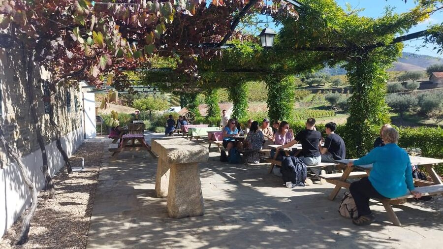 From Pinhão: Douro Valley Tour w/ Wine Tasting and Boat Trip - The high viewpoint and Douro roads