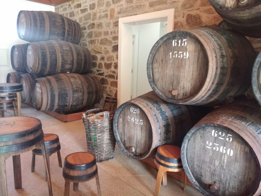 From Pinhão: Douro Valley Tour w/ Wine Tasting and Boat Trip - Guides who give the tour its character