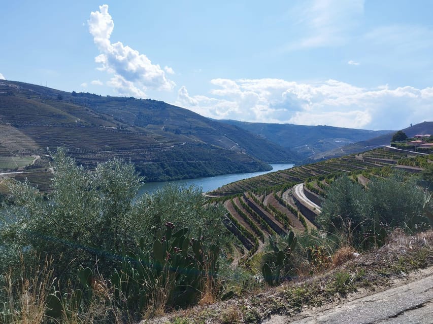 From Pinhão: Douro Valley Tour w/ Wine Tasting and Boat Trip - The small drawbacks to keep in mind