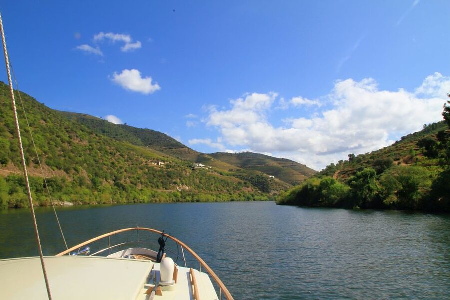 From Pinhão: Private Yacht Cruise along the Douro River - Who will enjoy this Douro cruise most